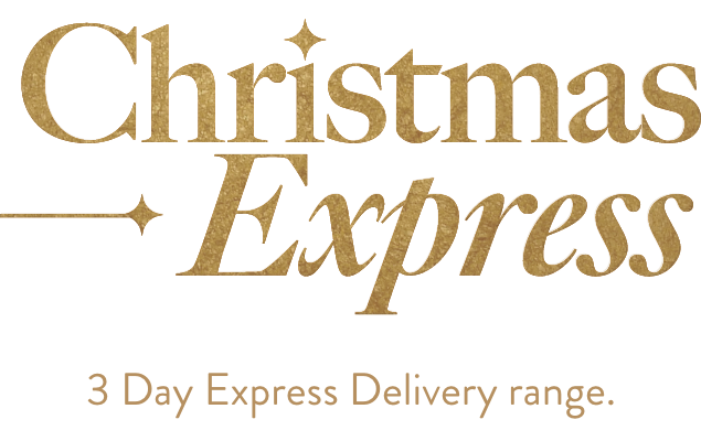 Christmas Express