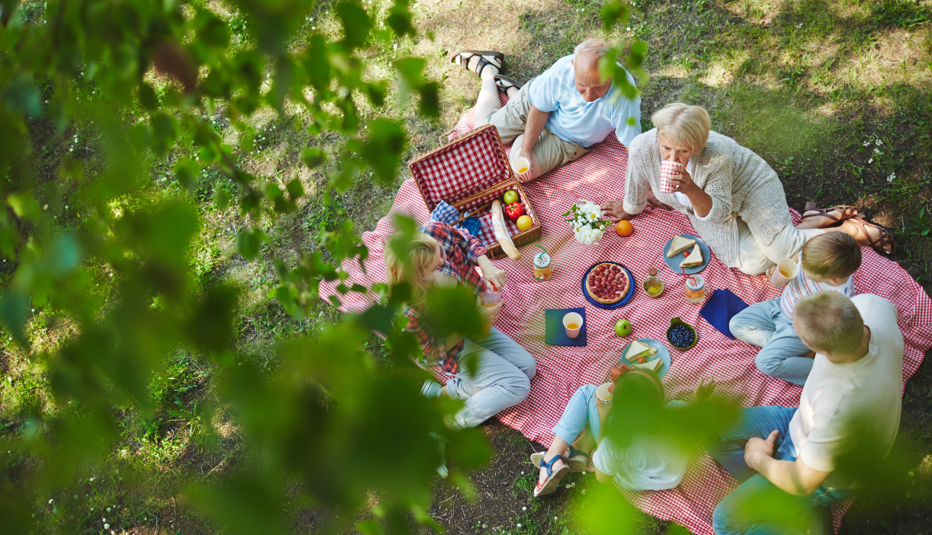 Picnic Phone Wallpaper - Mobile Abyss